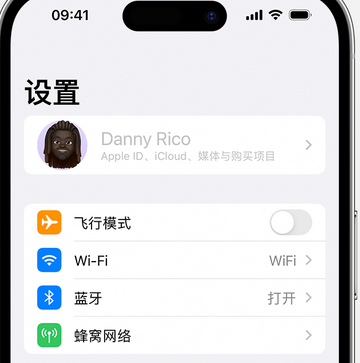 甘井子appleID维修服务iPhone设置中Apple ID显示为灰色无法使用