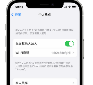 甘井子apple服务站点分享iPhone上个人热点丢失了怎么办 