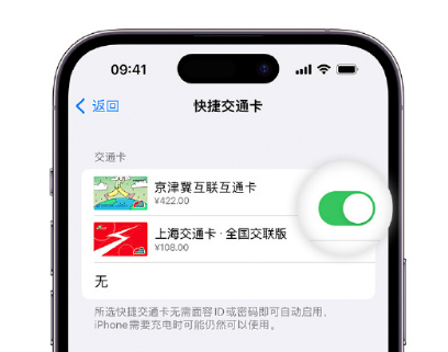 甘井子apple维修点分享iPhone上更换Apple Pay快捷交通卡手绘卡面 