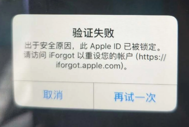 甘井子iPhone维修分享iPhone上正常登录或使用AppleID怎么办 