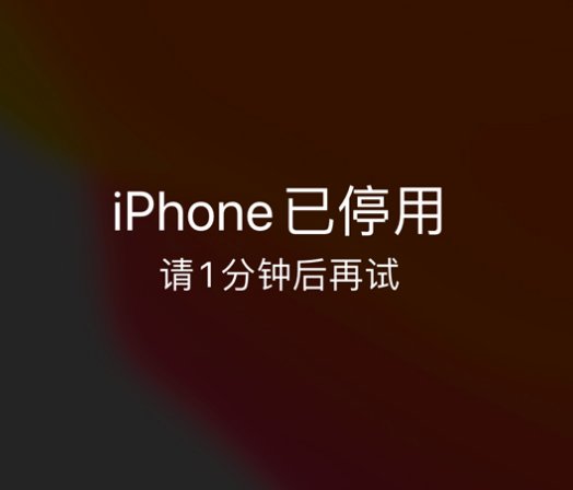 甘井子苹果手机维修分享:iPhone 显示“不可用”或“已停用”怎么办？还能保留数据吗？ 