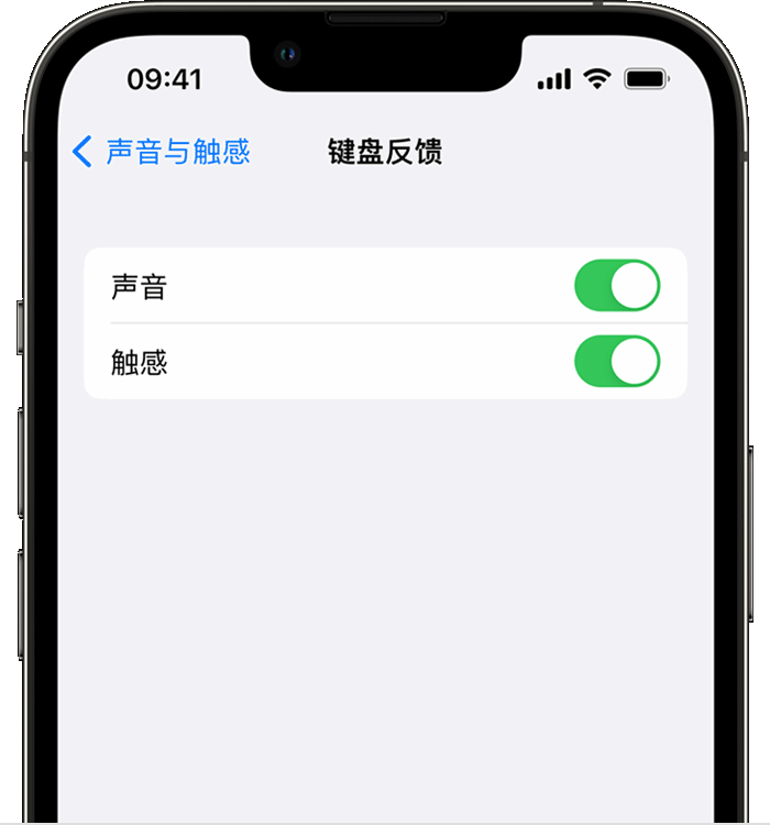 甘井子苹果14维修店分享如何在 iPhone 14 机型中使用触感键盘 