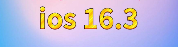 甘井子苹果服务网点分享苹果iOS16.3升级反馈汇总 