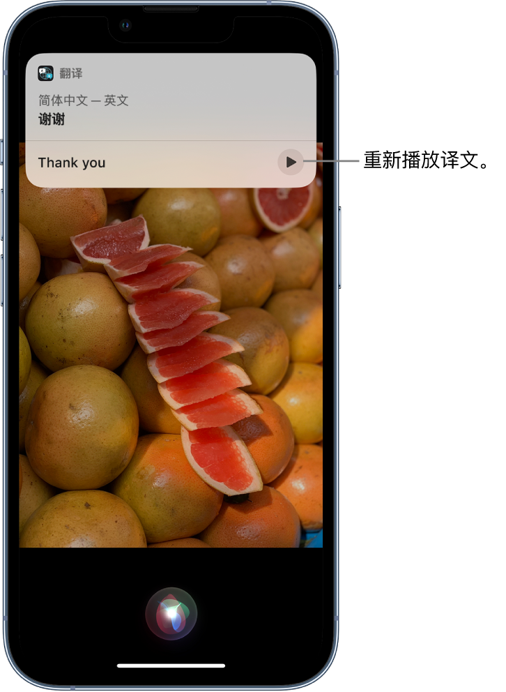 甘井子苹果14维修分享 iPhone 14 机型中使用 Siri：了解 Siri 能帮你做什么 