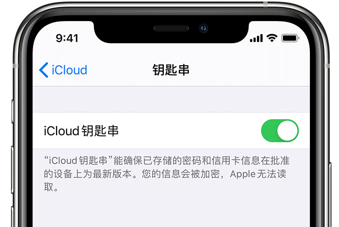 甘井子苹果手机维修分享在 iPhone 上开启 iCloud 钥匙串之后会储存哪些信息 